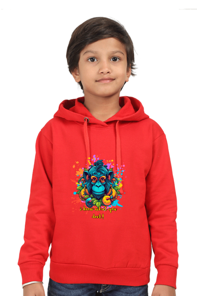 Kids Sweatshirt Hoodie- I Know What You Don't