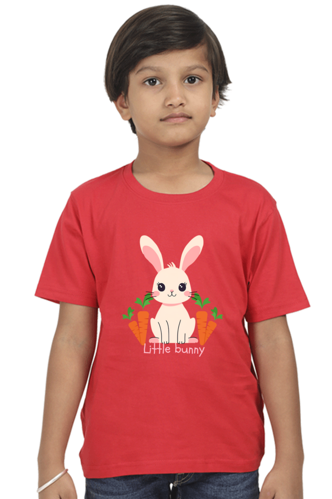 Boy Round Neck Half Sleeve T- Little Bunny