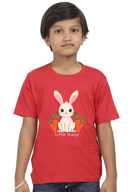 Boy Round Neck Half Sleeve T- Little Bunny