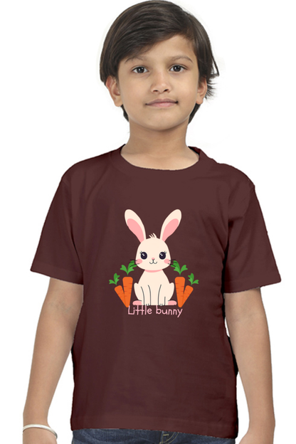 Boy Round Neck Half Sleeve T- Little Bunny