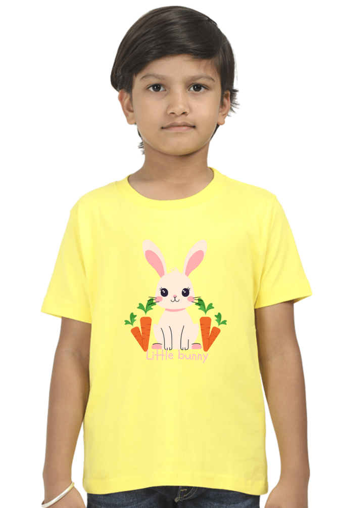 Boy Round Neck Half Sleeve T- Little Bunny