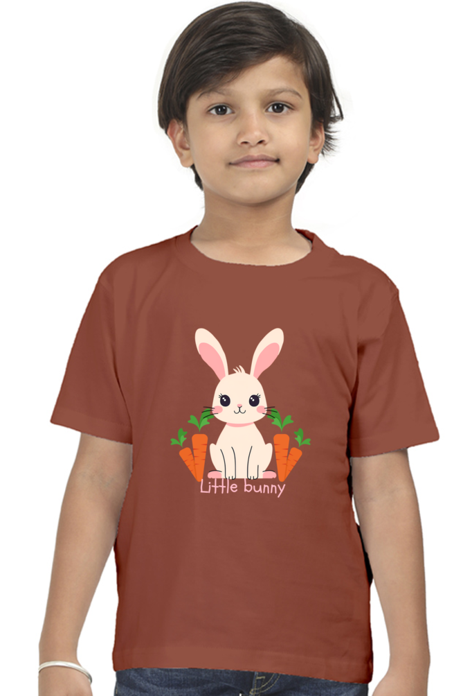 Boy Round Neck Half Sleeve T- Little Bunny