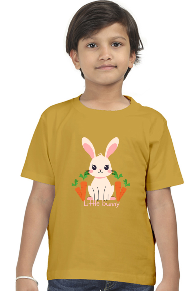 Boy Round Neck Half Sleeve T- Little Bunny